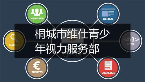 桐城市维仕青少年视力服务部