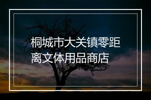 桐城市大关镇零距离文体用品商店