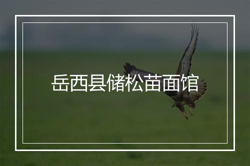 岳西县储松苗面馆