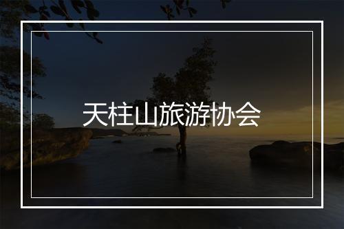 天柱山旅游协会