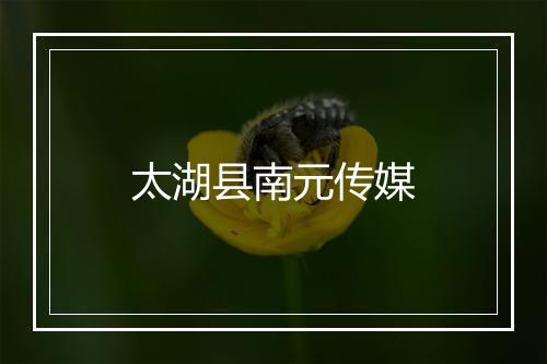 太湖县南元传媒