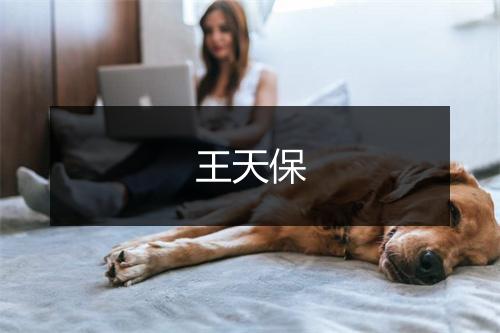 王天保