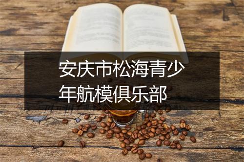 安庆市松海青少年航模俱乐部