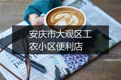 安庆市大观区工农小区便利店