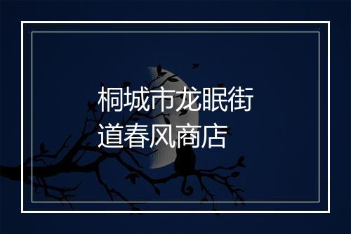 桐城市龙眠街道春风商店