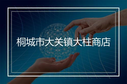 桐城市大关镇大柱商店