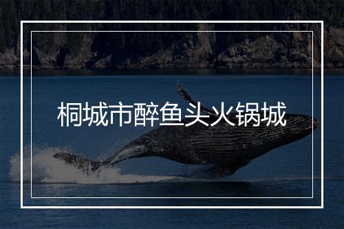 桐城市醉鱼头火锅城
