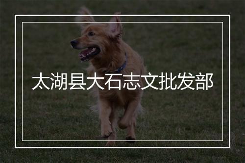 太湖县大石志文批发部