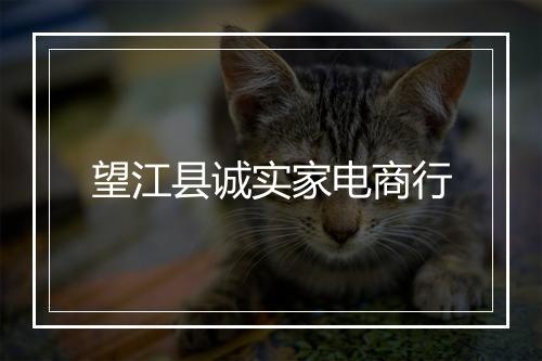 望江县诚实家电商行