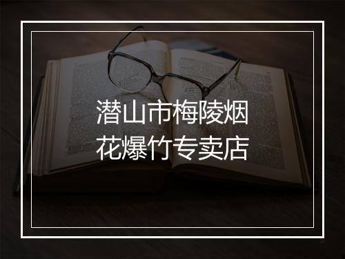 潜山市梅陵烟花爆竹专卖店