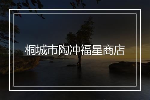 桐城市陶冲福星商店