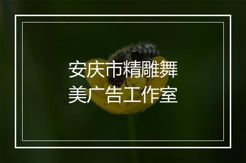 安庆市精雕舞美广告工作室