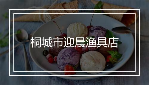 桐城市迎晨渔具店