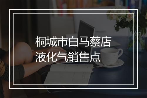 桐城市白马蔡店液化气销售点