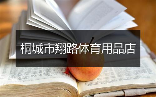 桐城市翔路体育用品店