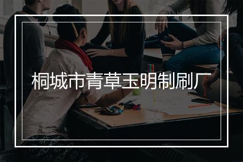 桐城市青草玉明制刷厂