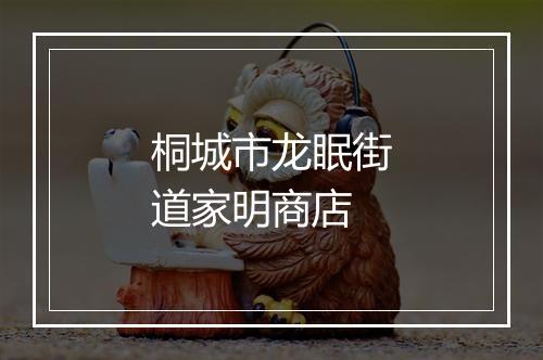 桐城市龙眠街道家明商店