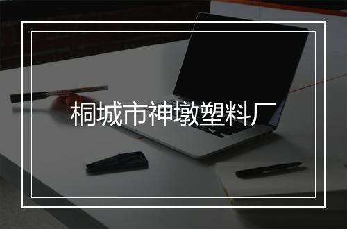 桐城市神墩塑料厂