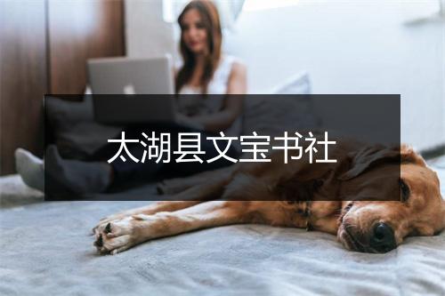 太湖县文宝书社