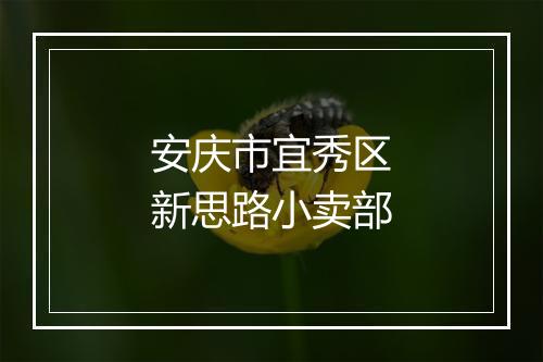 安庆市宜秀区新思路小卖部