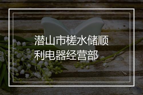 潜山市槎水储顺利电器经营部
