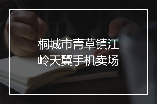 桐城市青草镇江岭天翼手机卖场