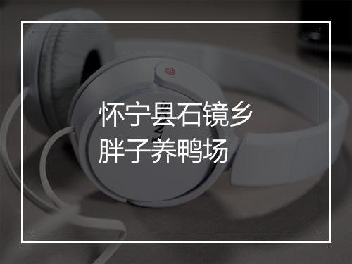 怀宁县石镜乡胖子养鸭场