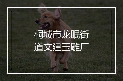 桐城市龙眠街道文建玉雕厂