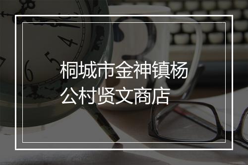 桐城市金神镇杨公村贤文商店