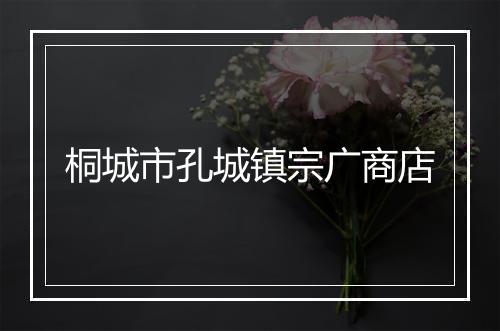 桐城市孔城镇宗广商店