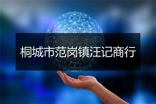 桐城市范岗镇汪记商行