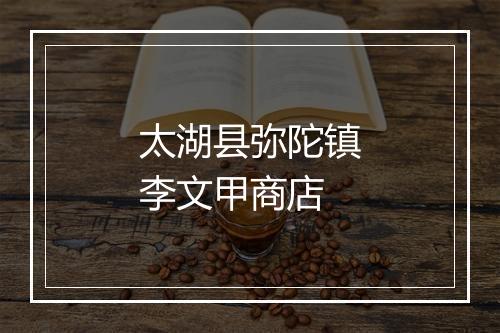 太湖县弥陀镇李文甲商店