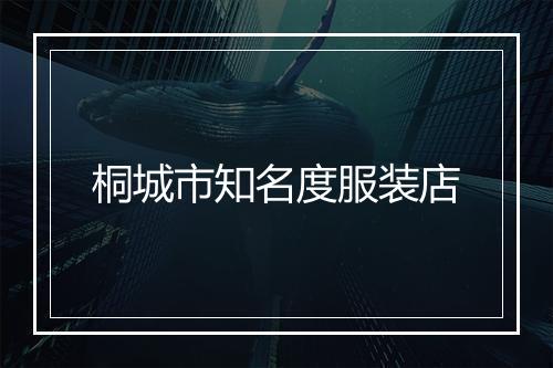 桐城市知名度服装店