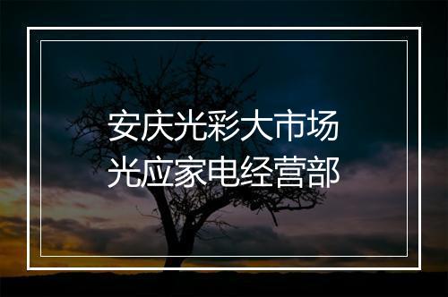 安庆光彩大市场光应家电经营部