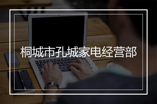 桐城市孔城家电经营部
