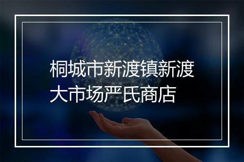 桐城市新渡镇新渡大市场严氏商店