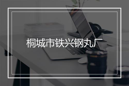 桐城市铁兴钢丸厂