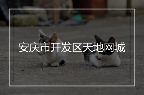 安庆市开发区天地网城