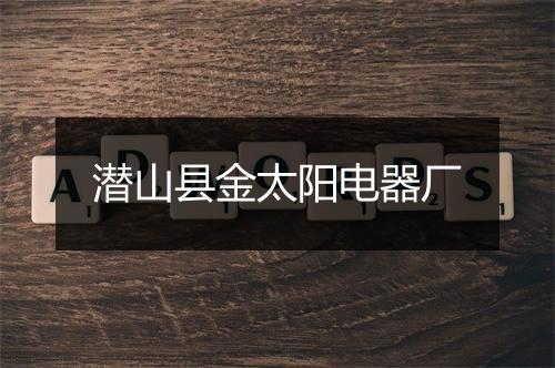 潜山县金太阳电器厂