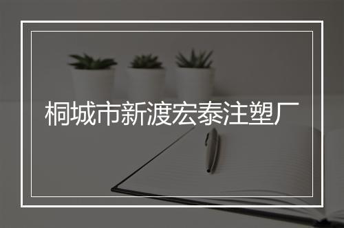 桐城市新渡宏泰注塑厂