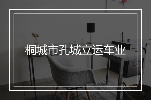 桐城市孔城立运车业