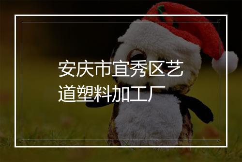 安庆市宜秀区艺道塑料加工厂