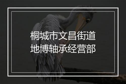 桐城市文昌街道地博轴承经营部