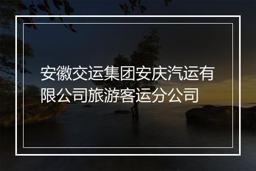 安徽交运集团安庆汽运有限公司旅游客运分公司