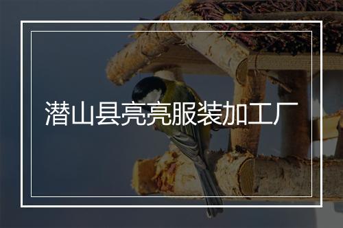 潜山县亮亮服装加工厂