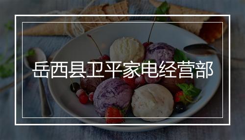 岳西县卫平家电经营部