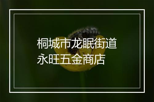 桐城市龙眠街道永旺五金商店