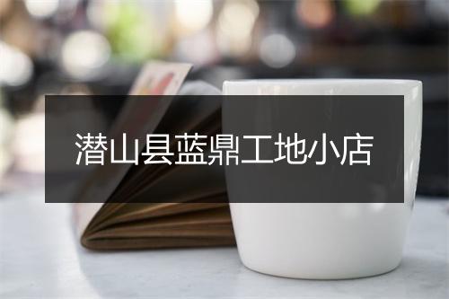 潜山县蓝鼎工地小店