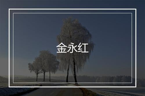 金永红