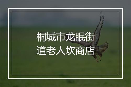 桐城市龙眠街道老人坎商店